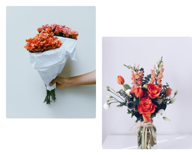 Anneke Kapteyn | bloemen